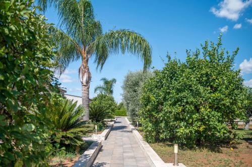 Photo - Terra Dei Limoni