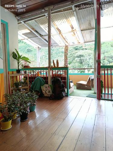 Surrounding environment, HOSTAL CASA VICTORIA PIJAO in Pijao