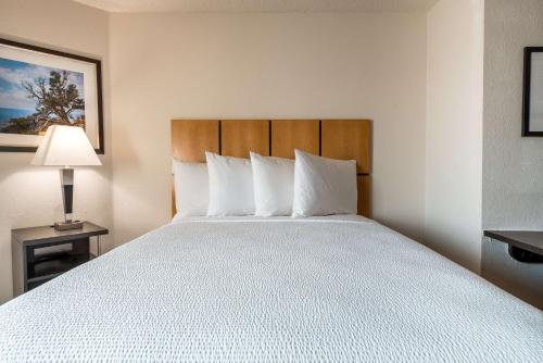 Sonesta Simply Suites Fort Worth in Fort Worth, USA