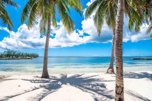 Kaibo Escape - Beachfront Condo with a Special Last-Minute Rate