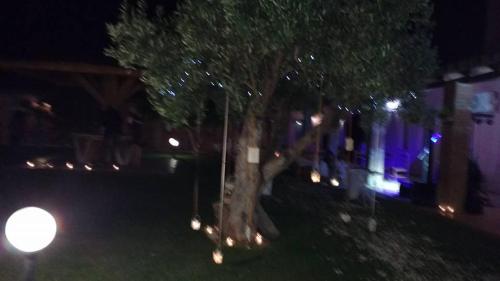  Agriturismo Santu Marcialis in 9041 Dolianova