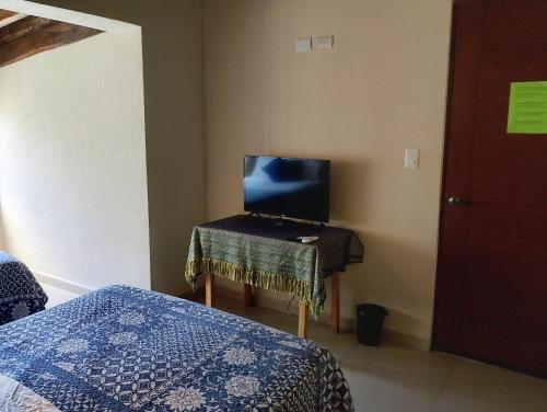 Bed and Breakfast Pecarí, Cancún (foto 5)