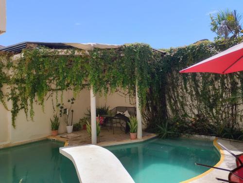 Bed and Breakfast Pecarí, Cancún (foto 9)