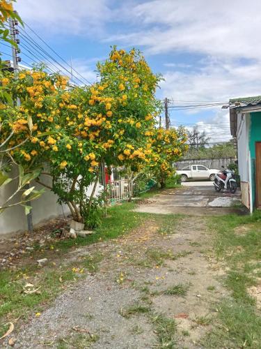 Airee Mini House – Bang Tao Bay, WY