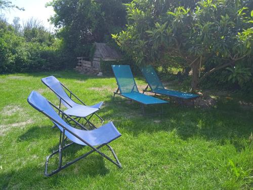 Tiny House T1 in Entraigues-sur-la-Sorgue