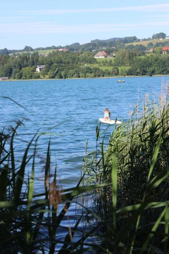 Bauernhof Schink - image 6