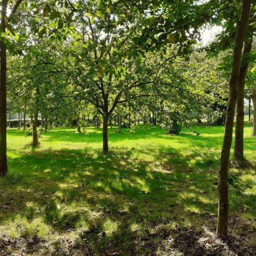 L hirondelle in Grigneuseville