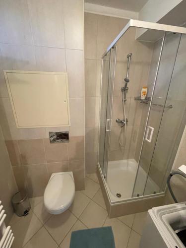 Buki Villa Park Apartman in Bukfurdo