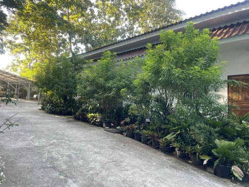 บ้านศิริพร บ้านศิริพร