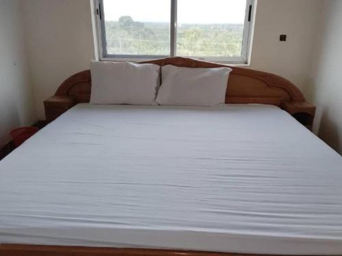 Sako's Home in Ada Foah