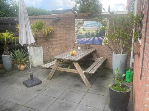 Garden, Beemster Experience in Middenbeemster