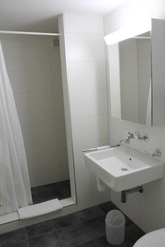 Gasthof zum Schützen - Aarau