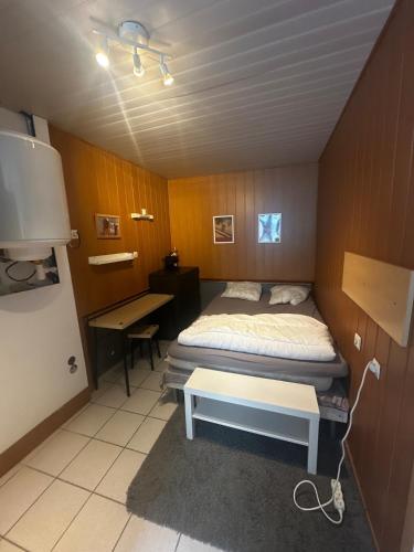 Petit studio centre mont dore