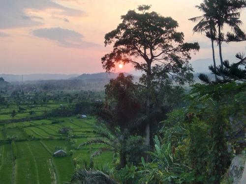 Kubu carik homestay
