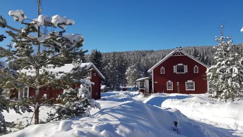 Wildlife Appartement - Wilderness Adventures Sweden, Bispgården
