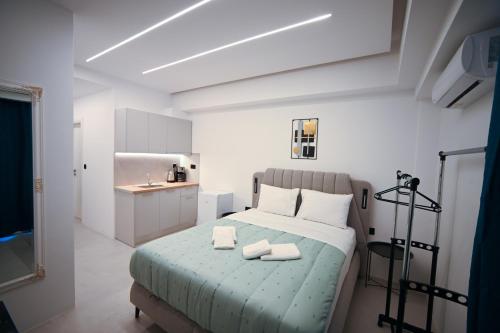 Erato Pedion Areos Suite by Zeus Suites, Atene