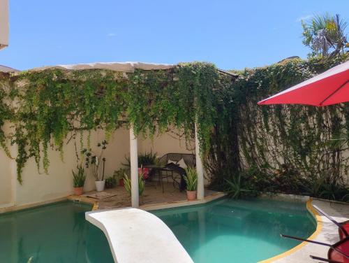 Bed and Breakfast Pecarí, Cancún