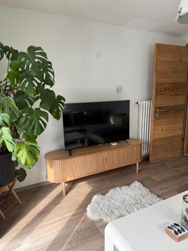 Apartment Cristal, Zermatt (photo 7)
