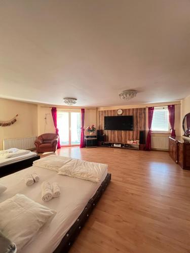 Sabina house in Vestec U Prahy