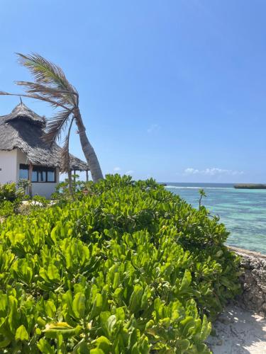 Watamu Villa in Watamu