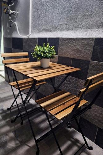 La Rosa di Napoli in Orto Botanico