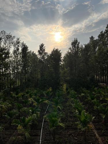 Surrounding environment, S R Retreat in Chikkavaddarakere