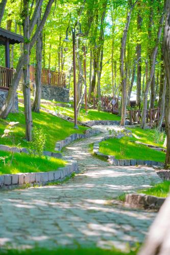 Fatsa Belediyesi Cerkezler Tepesi Bungalov Otel in Fatsa