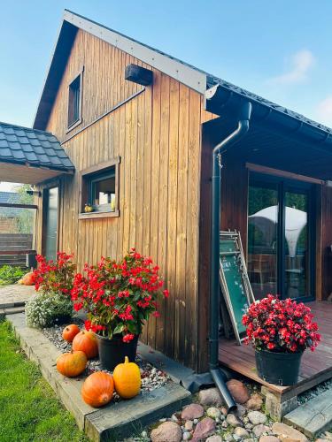 Apartamenty Leśne Zacisze