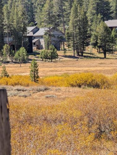 Kirkwood On Meadow 3br 1 ba in Kirkwood (CA)