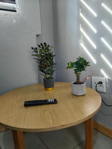 Calm Corner, Pretoria (fotografie 10)