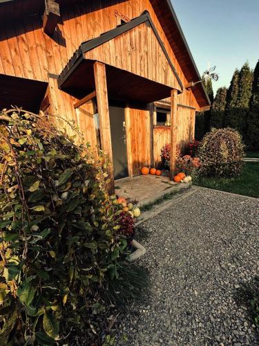 Apartamenty Leśne Zacisze