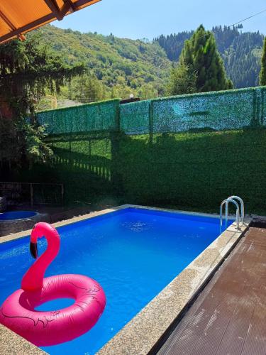 River house, Besqaynar