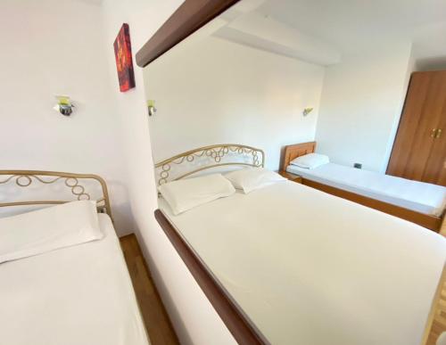 Apartamente & Dhoma Me Qera Ditore, Tirana
