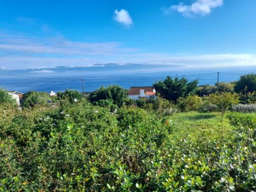 Lost in Thyme in เฟเตรา