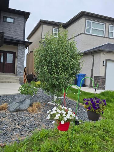景色, Stormwater Haven in ウィニペグ（MB）