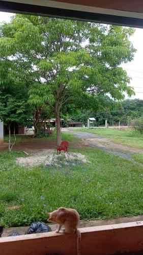 Nancy Host in Las Tablas