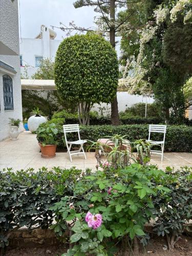 La chambre doree avec jardin prive in Sidi Bou Said
