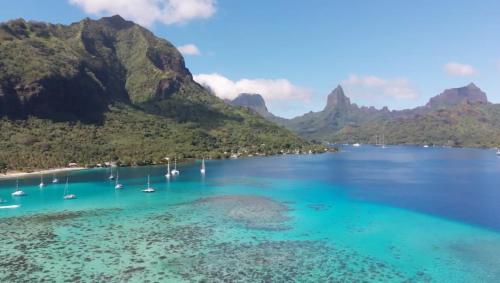 Blue Bungalow Moorea in Piha'ena
