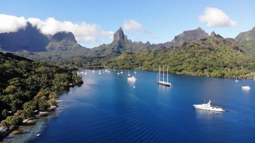 Blue Bungalow Moorea in Piha'ena