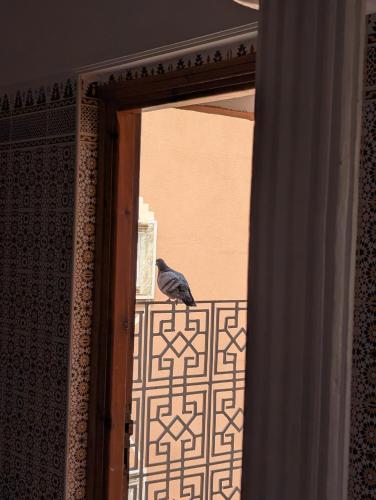 Appartement City Center in Ouarzazate Külváros