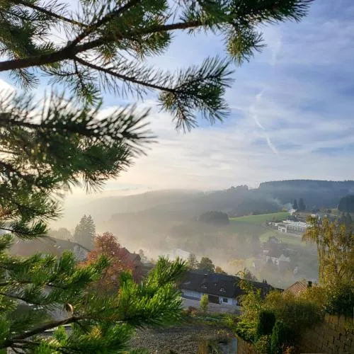 Birds eye mountain view at balcony, parking free, new kitchen, renovated bathroom in Schonach, Deutschland