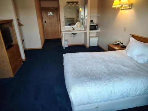 Western Executive Inn - image 4