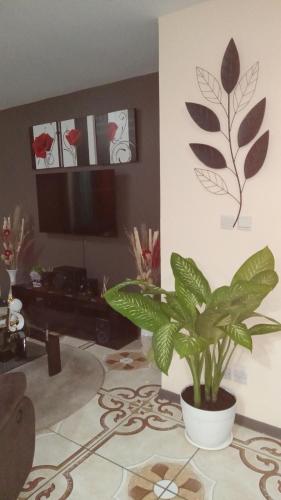 Iekārtas, S&D Beauty Home in Roseau