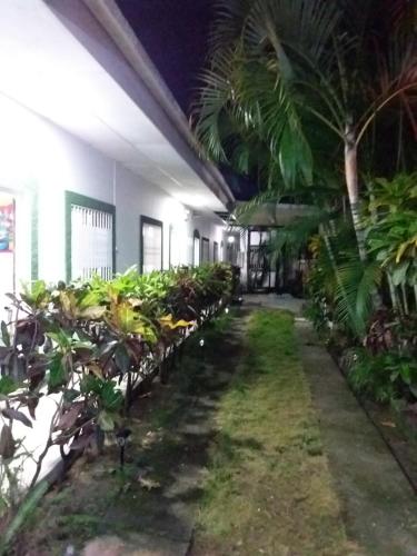 Hotel NO STRESS TRAVELLERS in 埃斯特利