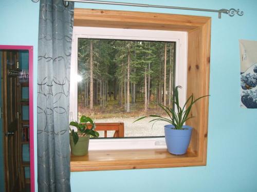 Uitzicht, Cook's Place in Tok (AK)