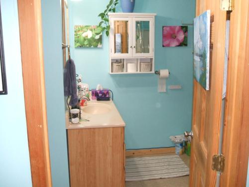 Badkamer, Cook's Place in Tok (AK)