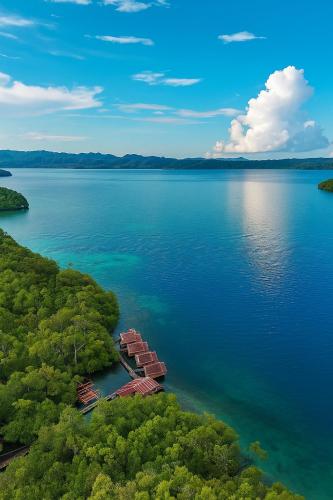 " Miguel Homestay RAJA AMPAT " - Kota Waisai