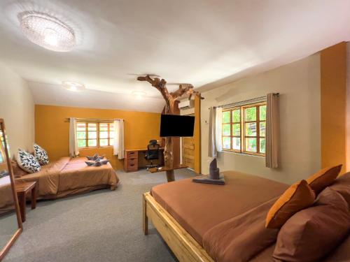 room detail thumbnail 0