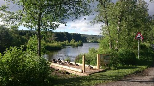 Boat Country Inn and Restaurant - image 5