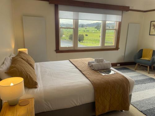 Wandering Trout in Deloraine